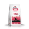 Pupil kuivtoit koerale Premium Junior Medium and Large Breeds Rich in Beef, 12kg