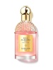 Guerlain parfüüm Aqua Allegoria Forte Rosa Rossa 75ml, naistele