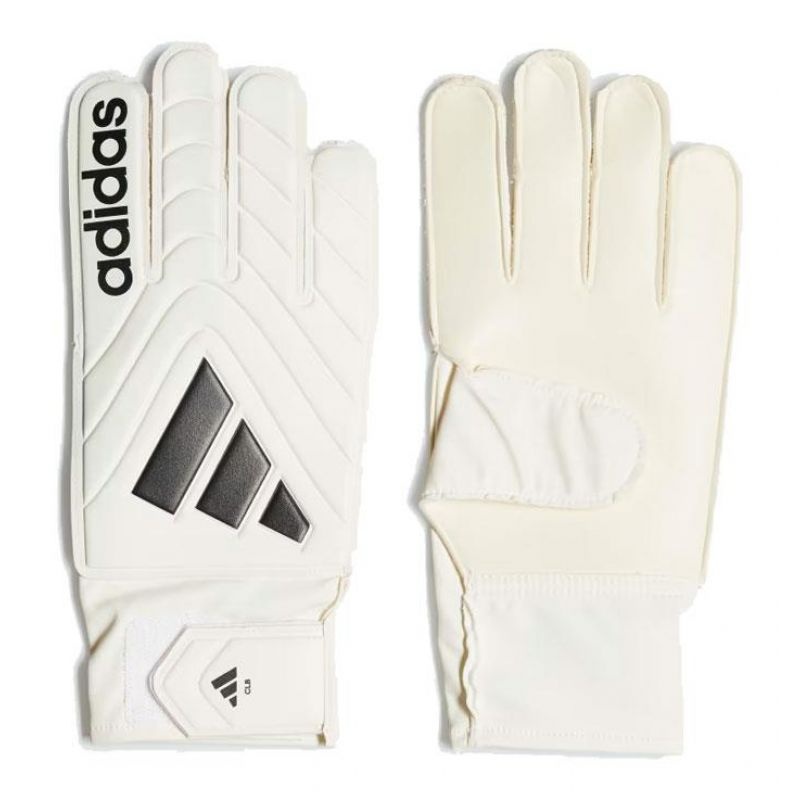 adidas Copa Club M IQ4016 väravavahi kindad 9