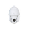 Dahua turvakaamera Net Camera 8MP Ptz Dome