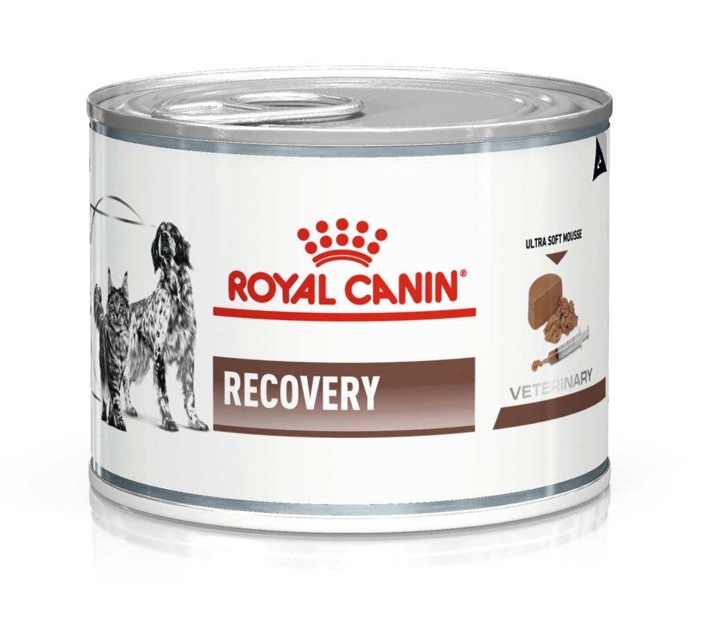 Royal Canin koeratoit Recovery - Wet Dog and Cat Food- 195g