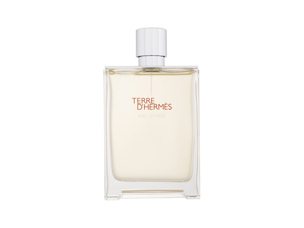 Hermes parfüüm Terre d´ EAU Givrée 175ml, meestele