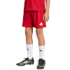Lühikesed püksid Kids Adidas Entrada 26 punane JZ6528 164cm