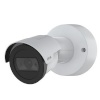 Axis turvakaamera Net Camera M2035-le Ir Bullet valge