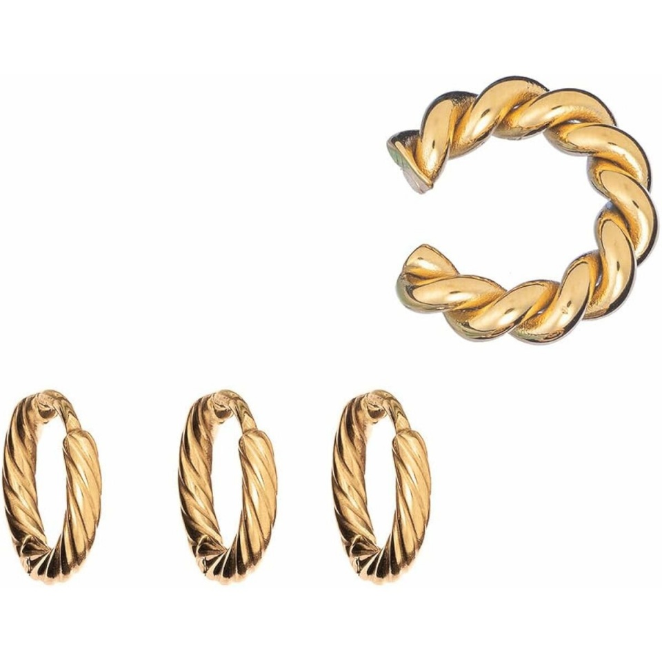 AN Jewels naiste kõrvarõngad AB.EP048