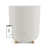 Duux õhuniisuti DXHU33 Neo Smart Humidifier, hall
