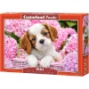 Castor pusle Pup In Pink Flowers, 500-osaline