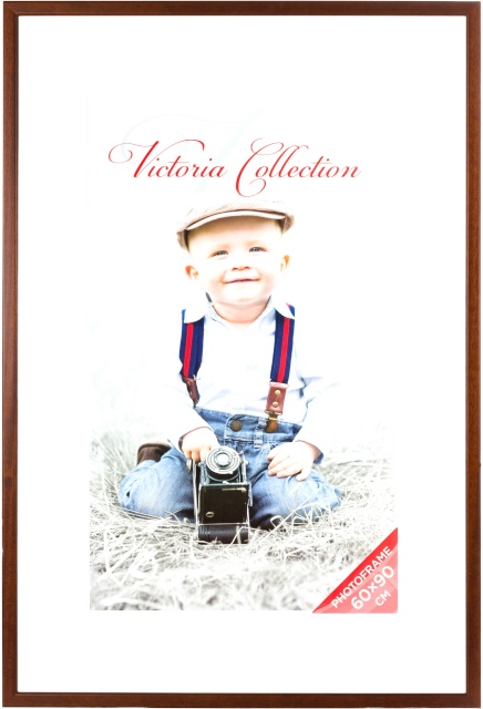 Victoria Collection Pildiraam Natura 60x90, pruun (VI2536)