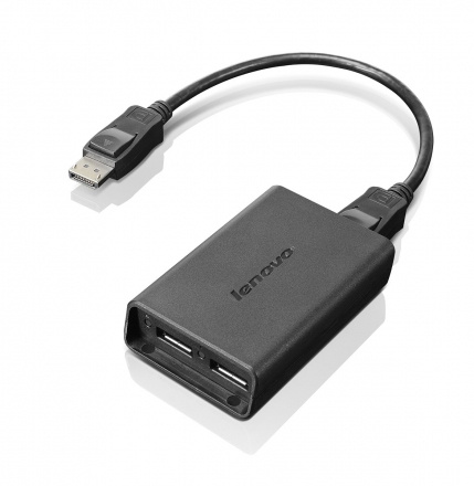 Lenovo DisplayPort to Dual DisplayPort Cable