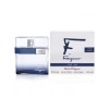 Salvatore Ferragamo tualettvesi F by Ferragamo Free Time EDT 100ml, meestele
