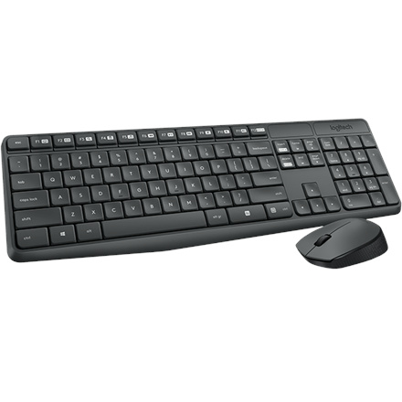 Logitech klaviatuur Wireless Kombo MK235 USB, US