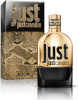 Roberto Cavalli Just Cavalli Gold for Him EDP 50ml, meestele