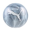 Puma jalgpall Final Graphic Ball sinine 84949 02 5