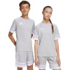 Adidas Teamwear T-särk lastele Squadra 25 helehall JJ0061 suurus 140cm