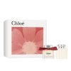 Chloé parfüüm L'EAU De Parfum Intense 50ml, naistele