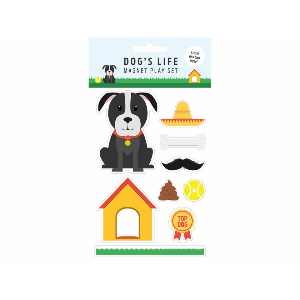 Magnet & Steel Magnetid Koer Mitmevärviline Metall 9 Tükid, osad