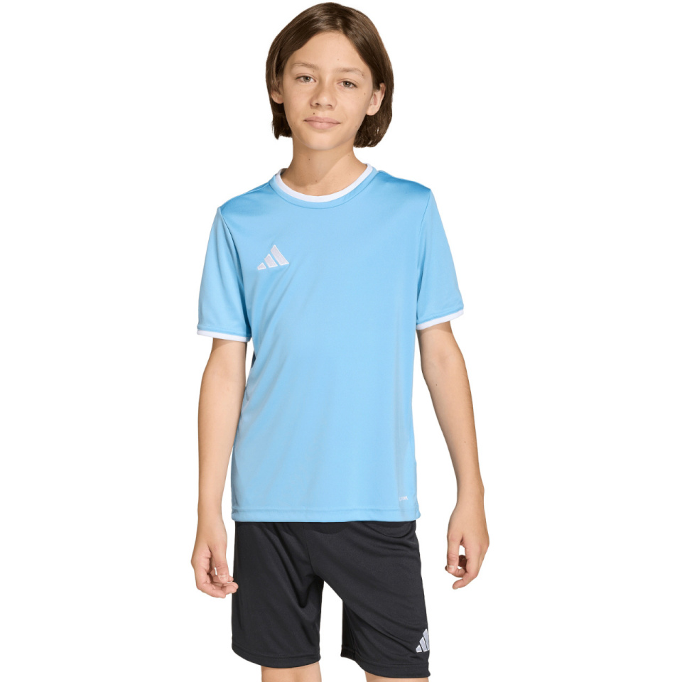 Adidas Teamwear T-särk lastele Entrada 26 Jersey Blue JZ2527 suurus 116cm