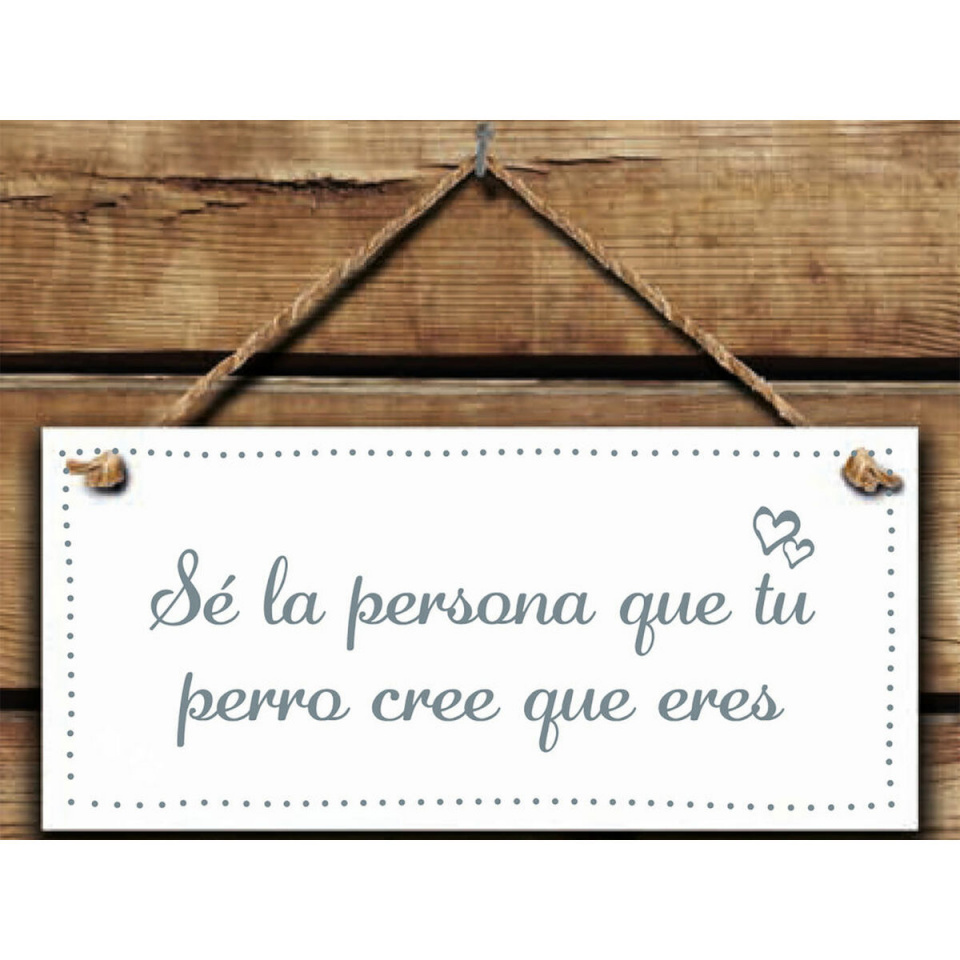 Magnet & Steel Rippkaunistus Sé la persona que tu perro cree que eres 13x13x0,8cm