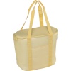 Reisenthel termokott Thermoshopper Mesh Lemon, kollane