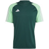Adidas Teamwear T-särk meestele Tiro 23 Competition Jersey roheline HU1297 suurus L