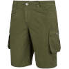 Lühikesed püksid meestele Alpinus Hekla roheline SI18154 M