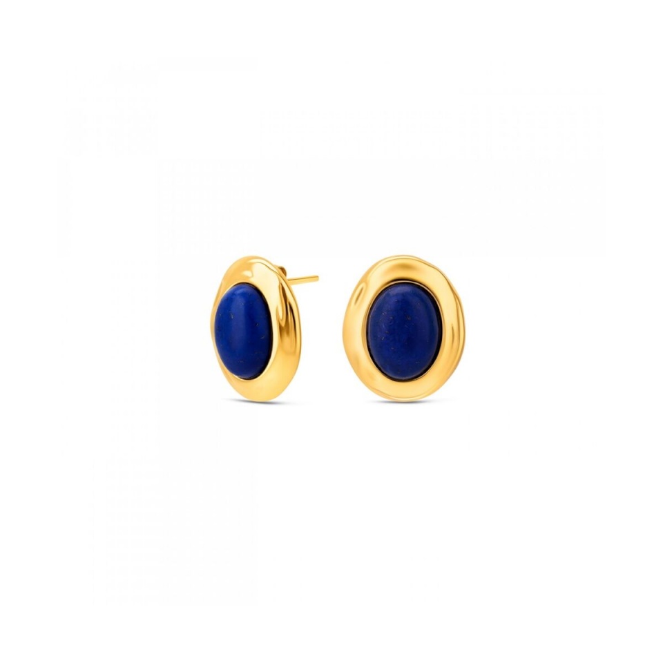 One Jewels naiste kõrvarõngad OJSE05D kuldne sinine