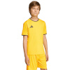 Adidas Teamwear T-särk lastele Entrada 26 Jersey kollane JZ2529 suurus 116cm