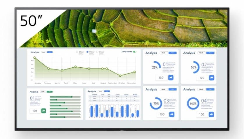 Sony esitlusekraan Digital Signage FW-50BZ30L FW50BZ30L Bravia Professional Displays (FW-50BZ30L)