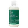 Paul Mitchell šampoon Tea Tree Lavender Mint Moisturizing Shampoo 300ml, unisex
