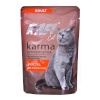 Dolina Noteci kassitoit Rafi Cat Adult with Duck, 100g
