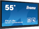 Iiyama esitlusekraan Digital Signage Touch ProLite TE5512MIS-B3AG TE5512MISB3AG (TE5512MIS-B3AG)