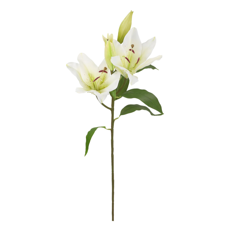 H4Y kunstlill In Garden, 75cm