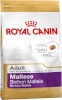 Royal Canin kuivtoit koerale Maltese Adult Corn, Poultry 1,5kg