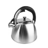 Maestro veekeetja MR-1333 Kettle, 3L, roostevaba teras