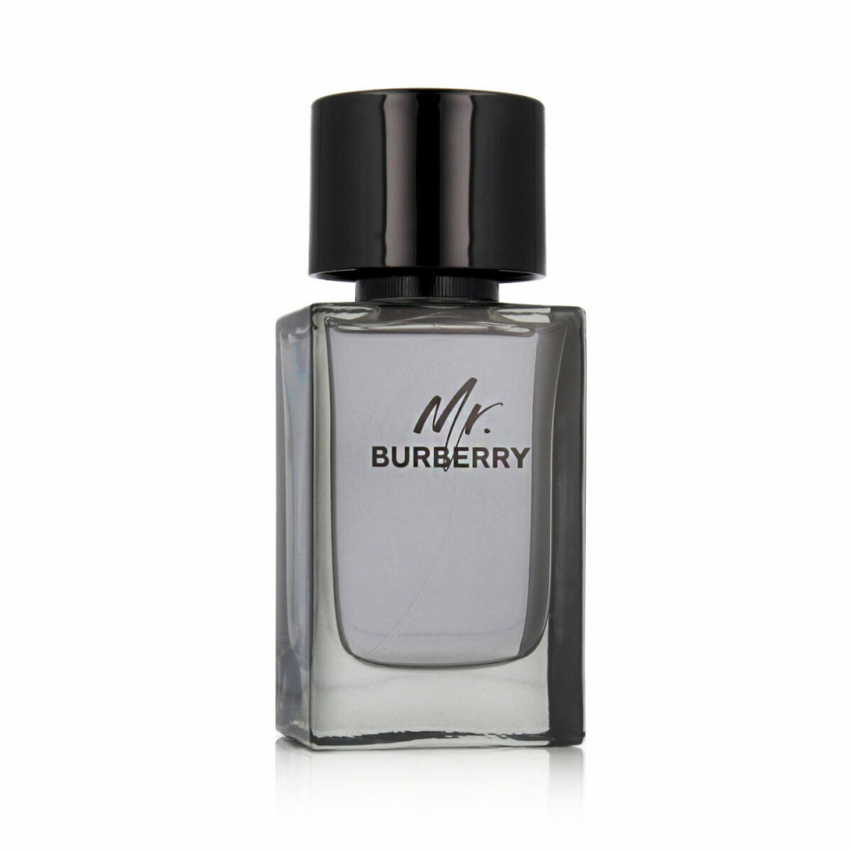 Burberry meeste parfüüm MR EDT 100ml Mr.