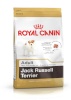 Royal Canin kuivtoit koerale Jack Russell Adult 1,5kg Poultry, Rice