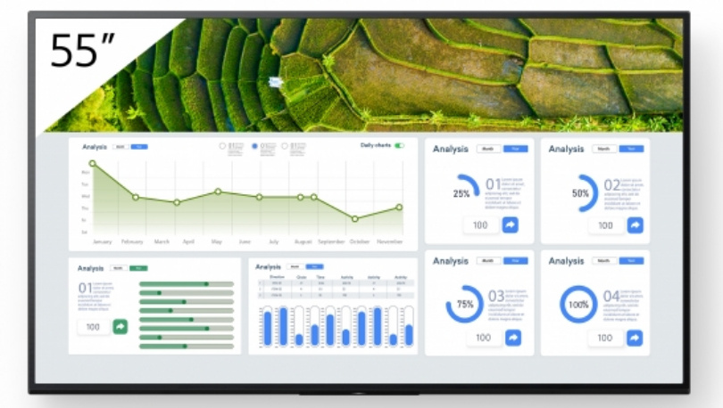 Sony esitlusekraan Digital Signage FW-55BZ30L FW55BZ30L Bravia Professional Displays (FW-55BZ30L)