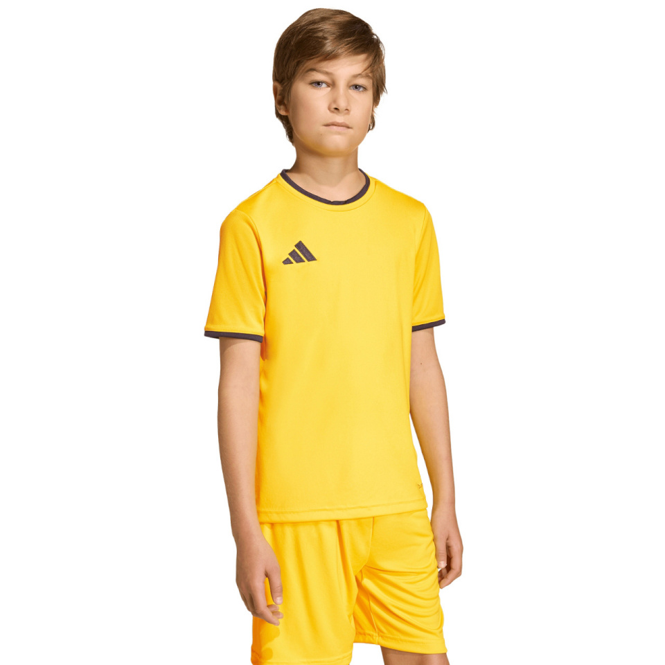 Adidas Teamwear T-särk lastele Entrada 26 Jersey kollane JZ2529 suurus 152cm