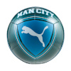 Puma jalgpall Mcfc Culture türkiis-sinine 84976 13 5