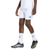 Lühikesed püksid Kids Adidas Entrada 26 valge JZ6526 152cm