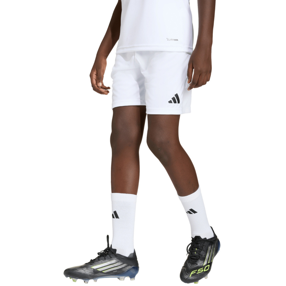 Lühikesed püksid Kids Adidas Entrada 26 valge JZ6526 152cm