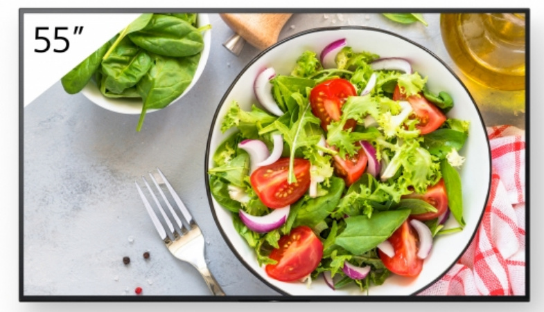 Sony esitlusekraan Digital Signage FW-55BZ35L FW55BZ35L Bravia Professional Displays (FW-55BZ35L)