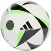 Adidas jalgpall Euro24 Fussballliebe Club IN9374 3