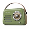 Ledwood transistorraadio ALMA GREY roheline 30 W