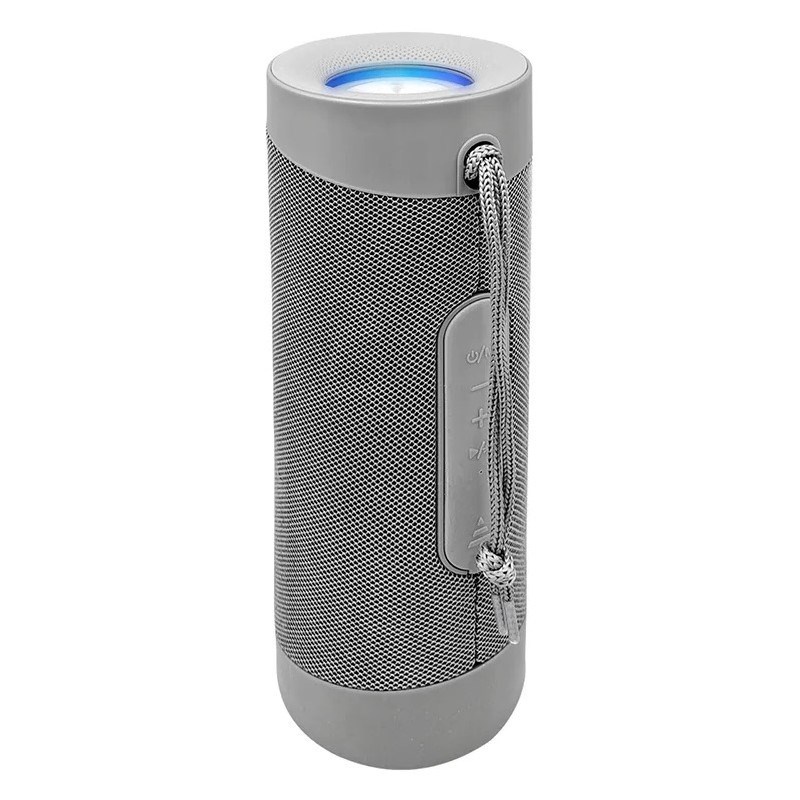 Denver kõlarid Denver BTV-208G portable Bluetooth speaker hall 100 watts
