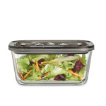 Caso vaakumpakendaja VacuBoxx Eco L Glass container with plastic lid, 1.5 L
