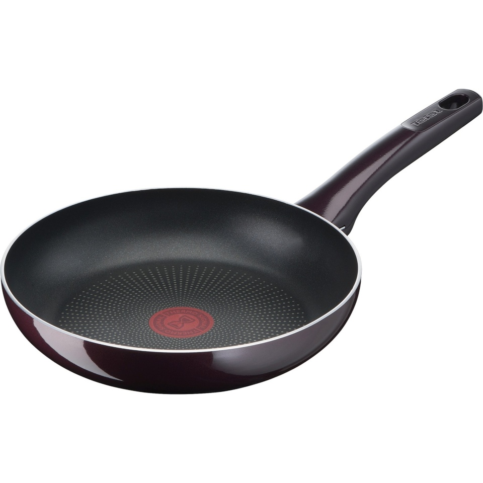 Tefal pann Resist Intense pan, Ø 20cm