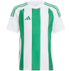 Adidas Teamwear T-särk lastele Striped 24 valge-roheline IW2138 suurus 164cm