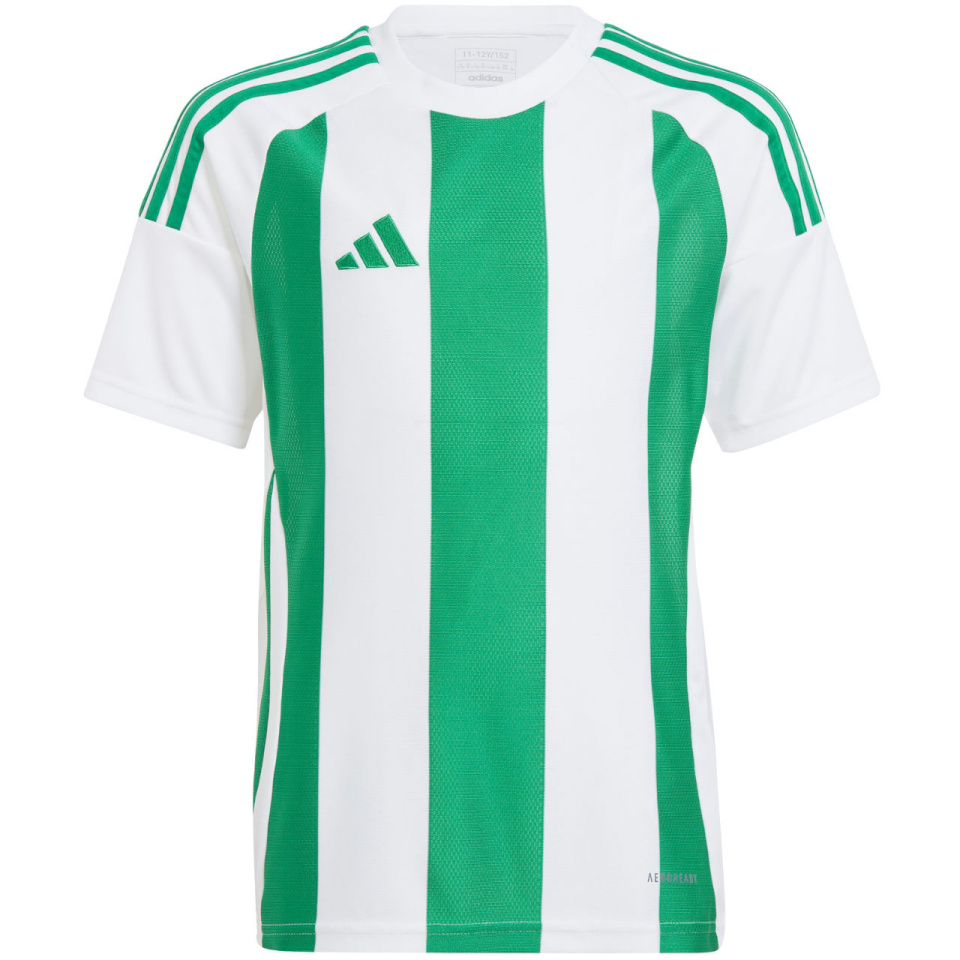 Adidas Teamwear T-särk lastele Striped 24 valge-roheline IW2138 suurus 164cm