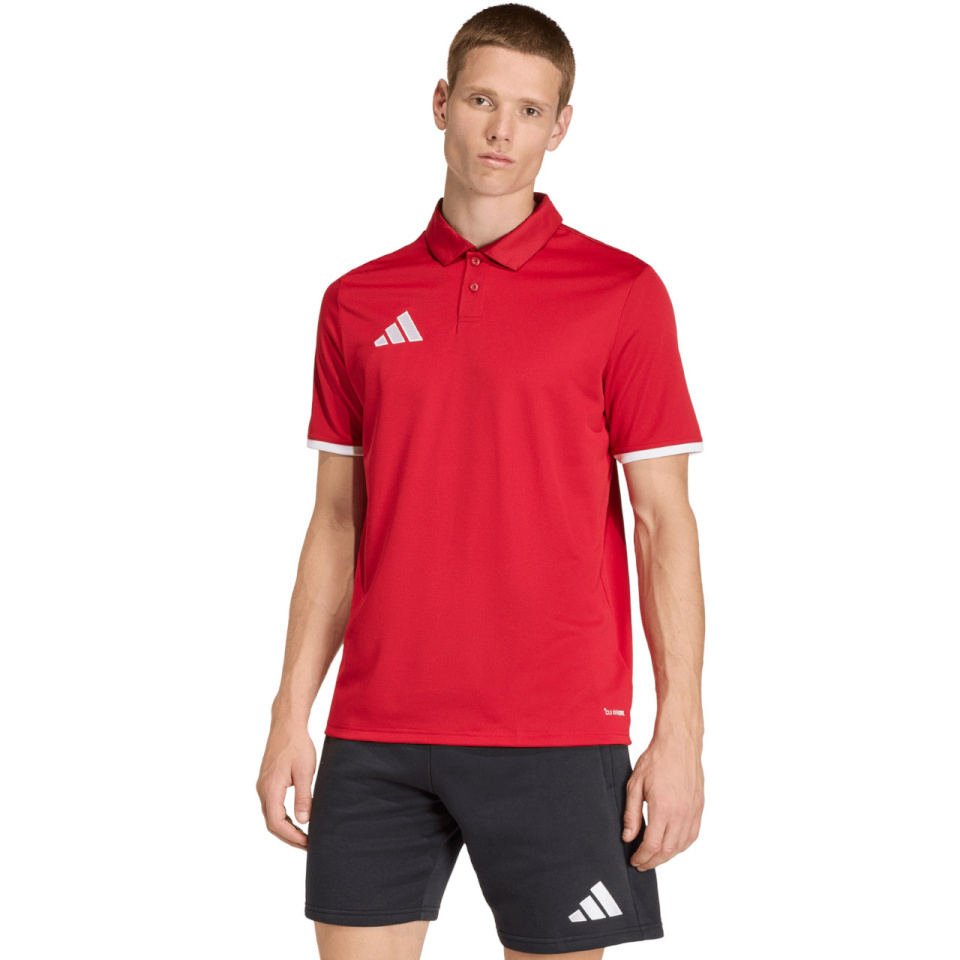 Adidas Teamwear T-särk meestele Entrada 26 Polo punane JZ6664 suurus S